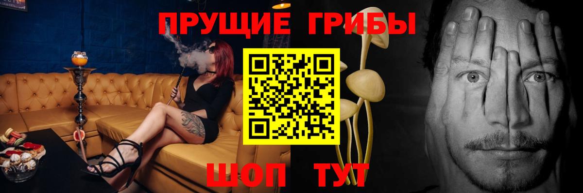 Северск  Псилоцибиновые грибы Magic Shrooms  купить  цена  Вход с VPN 